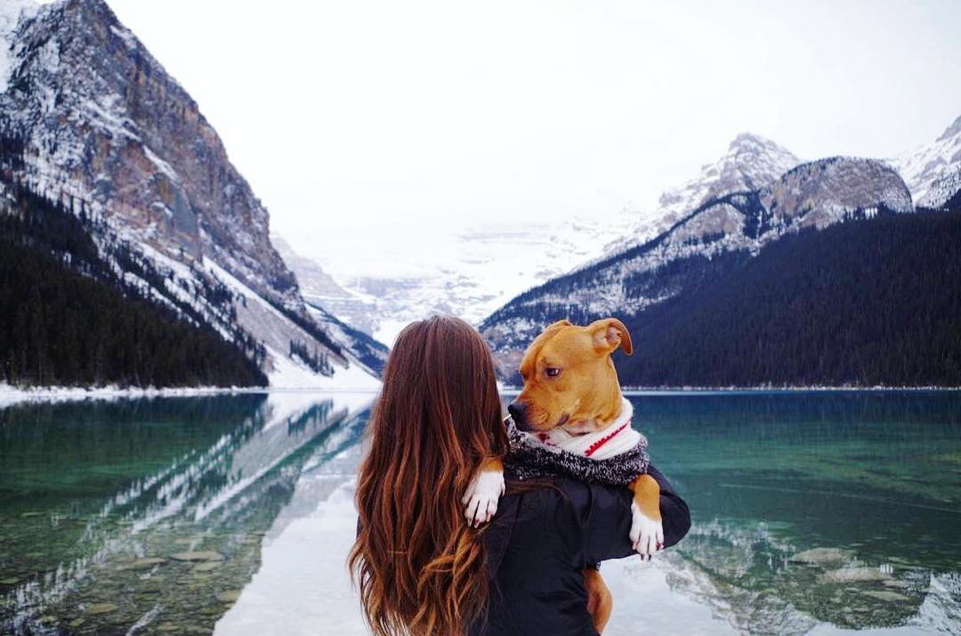 Có gì hay ở hồ nước màu xanh ngọc bích được mệnh danh là thiên đường trần gian ở Canada? - Ảnh 11. Có gì hay ở hồ nước màu xanh ngọc bích được mệnh danh là thiên đường trần gian ở Canada? - Ảnh 11.