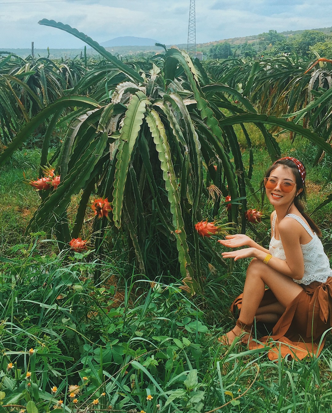 Ai mà ngờ có ngày vườn thanh long ở Phan Thiết lại trở thành điểm đến hot hòn họt được giới trẻ đổ xô kéo đến - Ảnh 3. Ai mà ngờ có ngày vườn thanh long ở Phan Thiết lại trở thành điểm đến hot hòn họt được giới trẻ đổ xô kéo đến - Ảnh 3.
