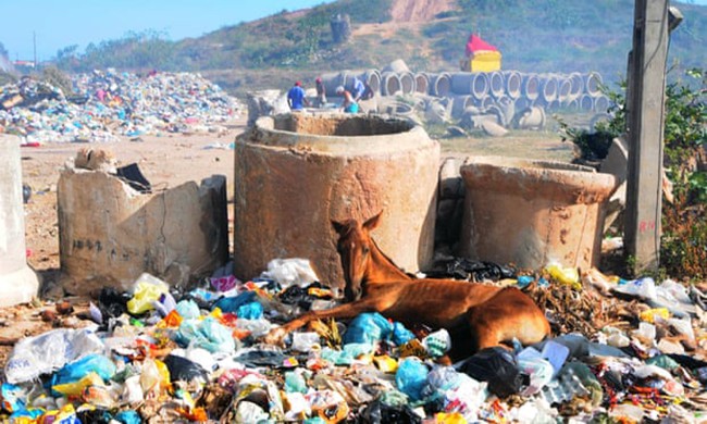 Những ý tưởng độc lạ về xử lý rác thải bê tông trên thế giới  - Ảnh 1.