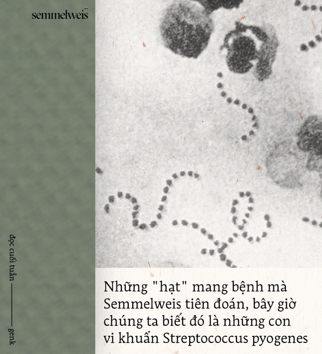 Đọc cuối tuần: Semmelweis và thời đại những bác sĩ mang bàn tay tử thần - Ảnh 16.
