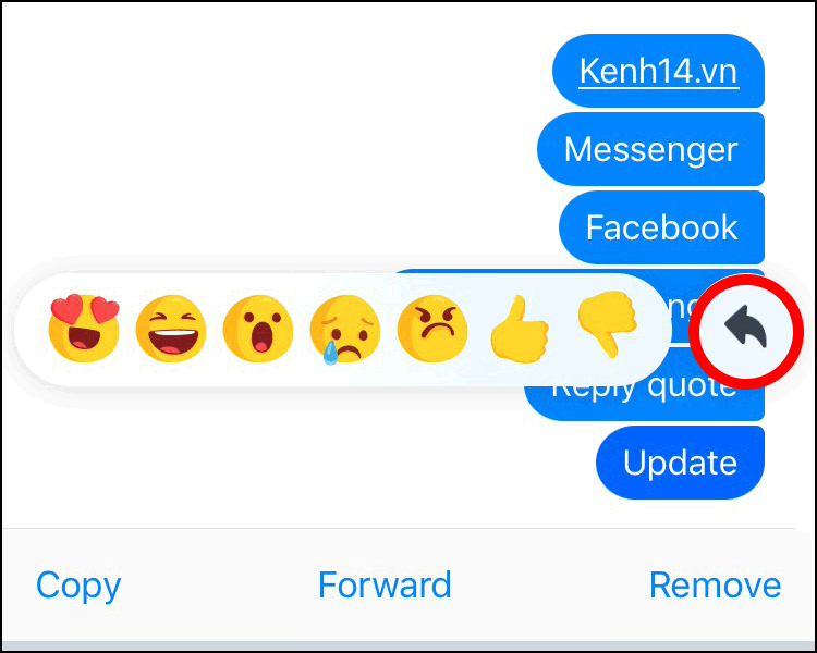 Facebook Messenger cho reply riêng từng tin nhắn, thoải mái spam groupchat không lo bị loạn - Ảnh 2.