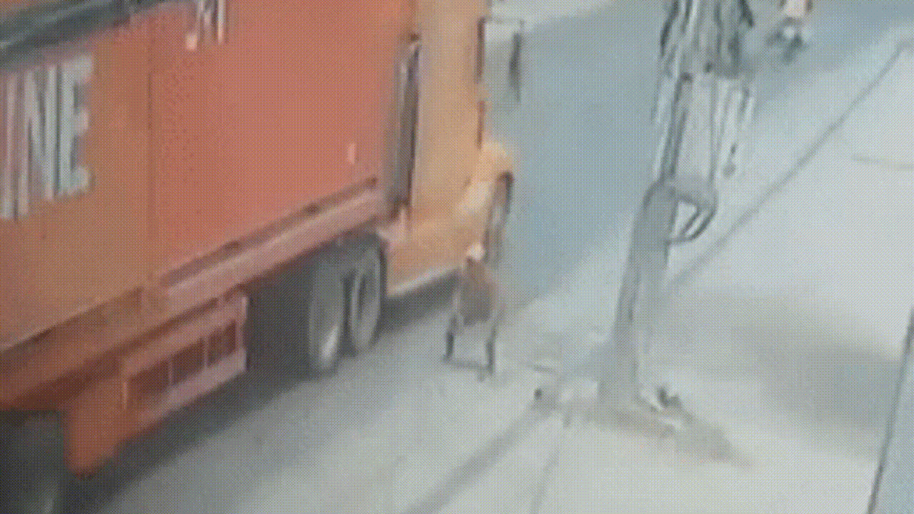 Clip hãi hùng: Người đàn ông tự lao đầu vào xe container đang chạy, thoát chết thần kỳ - Ảnh 2.