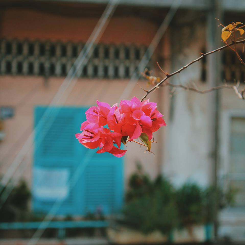Biết là Sài Gòn có China Town nhưng không ngờ khi lên hình lại đẹp mê ly như thế này! - Ảnh 14. Biết là Sài Gòn có China Town nhưng không ngờ khi lên hình lại đẹp mê ly như thế này! - Ảnh 14.