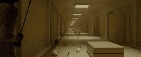 Đ&agrave;n thỏ đ&ocirc;ng ấn tượng trong Us kh&ocirc;ng chỉ diễn vai quần ch&uacute;ng m&agrave; c&ograve;n chứa đầy th&ocirc;ng điệp ẩn &yacute;! - Ảnh 10.