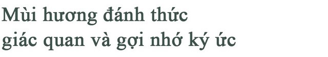 Vì một mùi hương thoảng qua, người ta có thể nhớ ai đó cả cuộc đời - Ảnh 5.