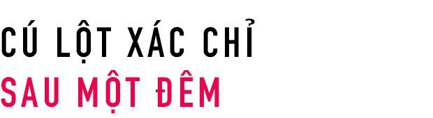 Tạm qu&ecirc;n Samsung, Huawei đi v&igrave; từ ng&agrave;y mai, Apple sẽ muốn coi Netflix, Disney l&agrave; đối thủ lớn nhất - Ảnh 2.