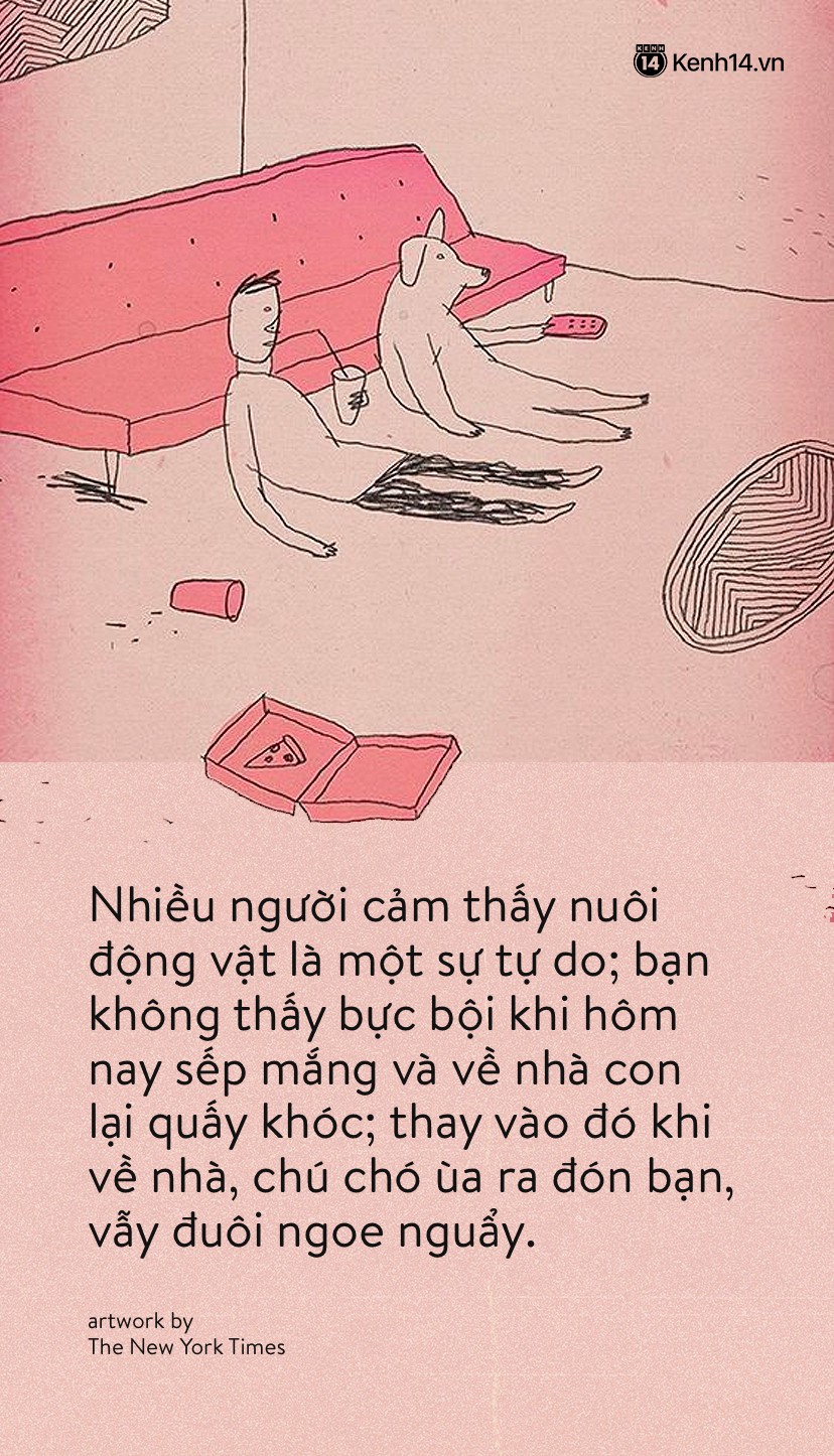 Xu hướng của người trẻ hiện đại: Nhận chó mèo làm con nhưng quyết không sinh nở? - Ảnh 8. Xu hướng của người trẻ hiện đại: Nhận chó mèo làm con nhưng quyết không sinh nở? - Ảnh 8.