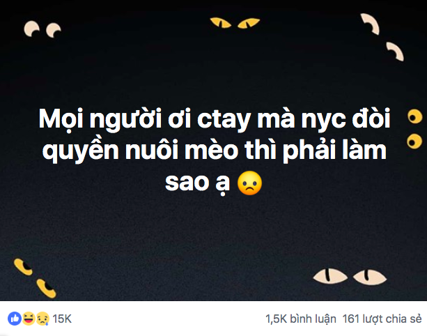 Chia tay đòi quyền nuôi mèo còn nhức não không kém gì ly hôn đòi chia tài sản đây! - Ảnh 1.