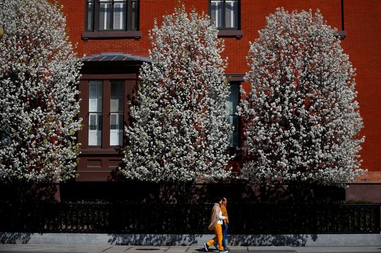 Lễ hội hoa anh đào - Ảnh 11.