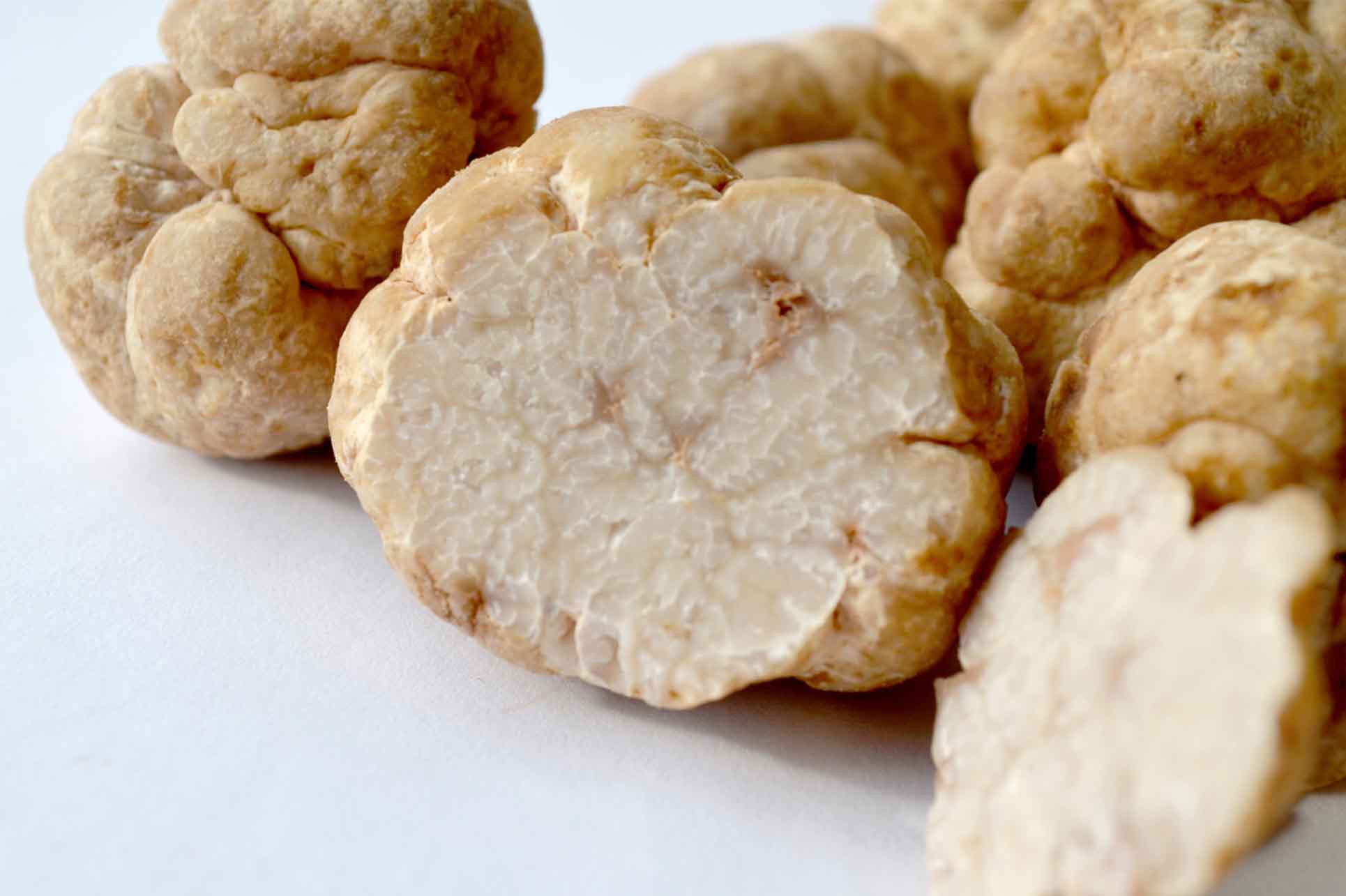 Nấm truffles: nguyên liệu được xưng tụng là thần thánh của các nhà hàng hạng sang, có giá lên đến 1 tỷ cho khoảng 2kg - Ảnh 1.