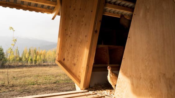 Chi&ecirc;m ngưỡng chiếc chuồng g&agrave; gi&aacute; 20.000 USD, được thiết kế bởi c&ocirc;ng ty kiến tr&uacute;c danh tiếng - Ảnh 5.