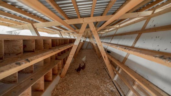 Chi&ecirc;m ngưỡng chiếc chuồng g&agrave; gi&aacute; 20.000 USD, được thiết kế bởi c&ocirc;ng ty kiến tr&uacute;c danh tiếng - Ảnh 6.