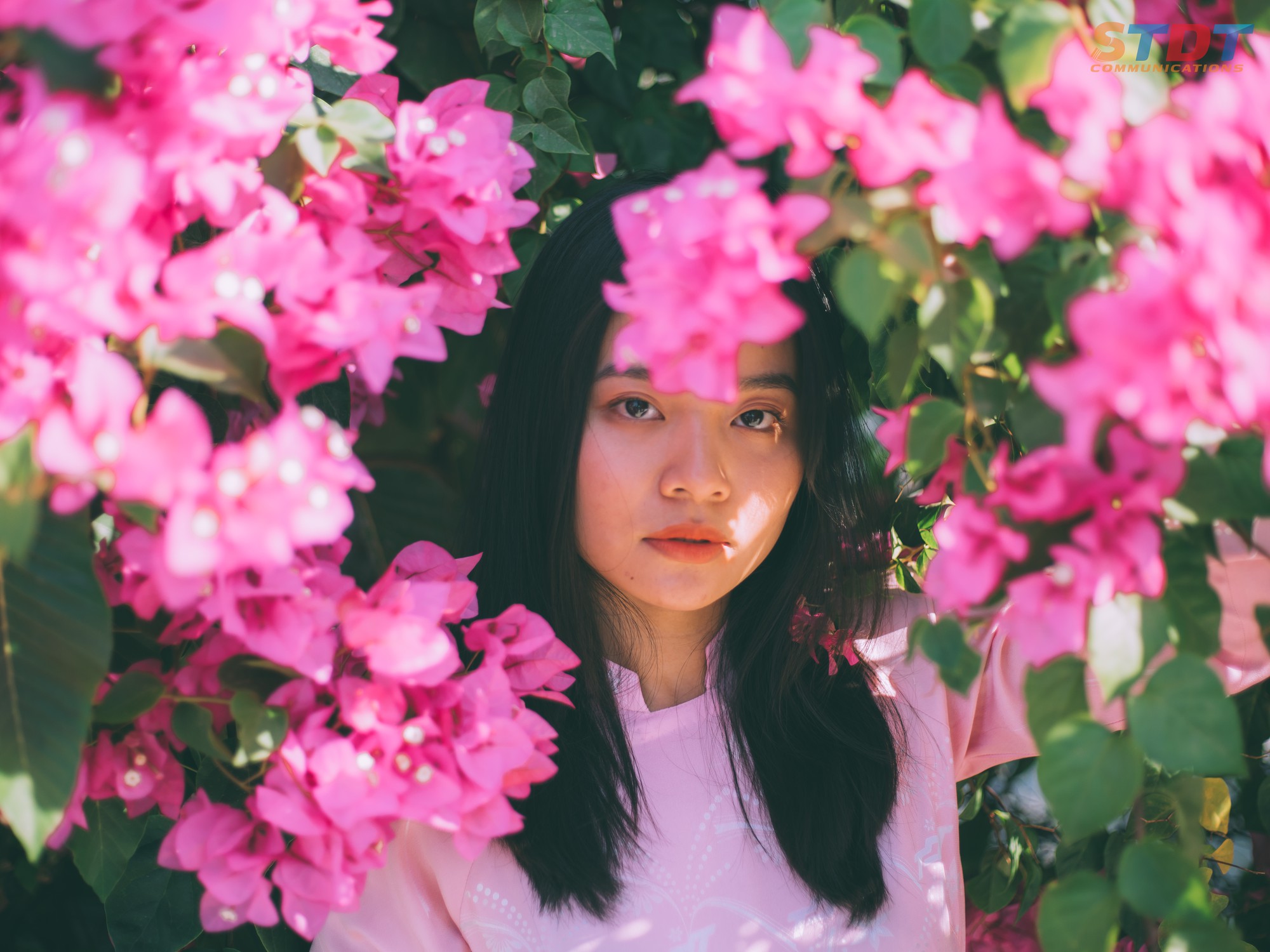 Chụp cả trăm kiểu đều đẹp, đây là giàn hoa được dân sống ảo truy lùng tại một trường đại học ở Việt Nam - Ảnh 4.