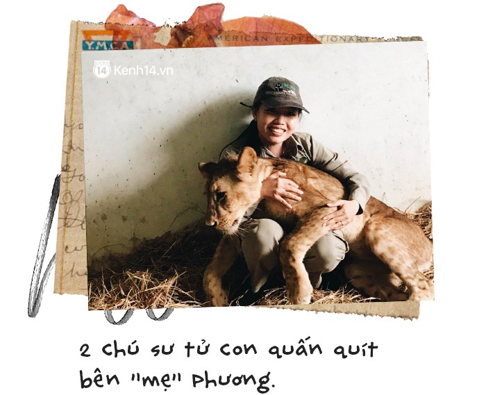 Chuyện về bộ 3 cô gái trẻ làm mẹ chúa sơn lâm ở Phú Quốc - Ảnh 4. Chuyện về bộ 3 cô gái trẻ làm mẹ chúa sơn lâm ở Phú Quốc - Ảnh 4.