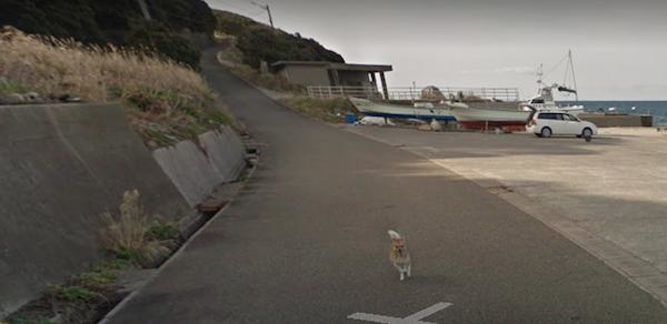 Chú chó Nhật u0027hủy hoạiu0027 mọi khung hình của Google Street View vì 