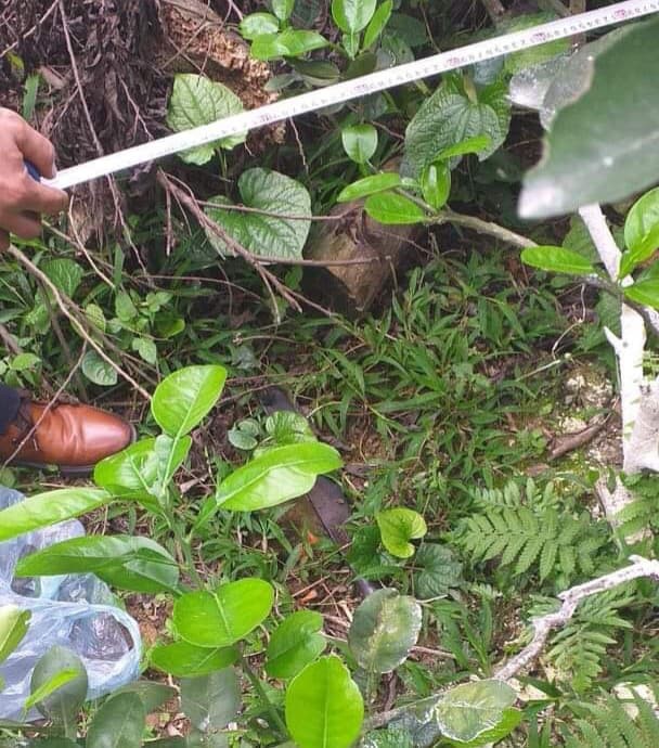 Bắc Giang: Thanh niên tâm thần bị hàng xóm chém 7 nhát vì làm đổ tường gạch và gãy cây cối trong vườn - Ảnh 3.
