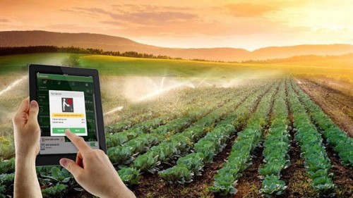 Người d&acirc;n Trung Quốc đua nhau đăng k&yacute; trồng c&acirc;y qua mạng Internet - Ảnh 1.
