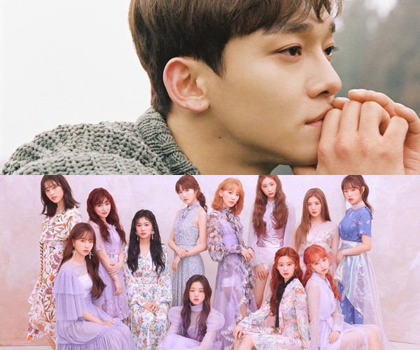 &Ocirc;ng ho&agrave;ng vocal của EXO v&agrave; IZ*ONE đối đầu trực diện: So k&egrave; quyết liệt nhưng ai ngờ người l&eacute;p vế lại l&agrave;... - Ảnh 1.