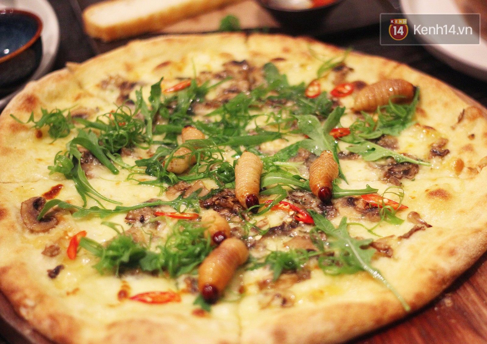 Ăn thử pizza đuông dừa: không cẩn thận là topping bò đi mất và hẳn ai cũng bất ngờ vì sự thật phía sau - Ảnh 2.