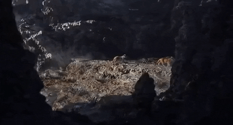 Kh&ocirc;ng c&ograve;n giống m&egrave;o nh&agrave;, vua tư sử Simba ch&iacute;nh thức lộ diện trong trailer The Lion King - Ảnh 2.