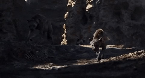 Không còn giống mèo nhà, vua tư sử Simba chính thức lộ diện trong trailer The Lion King - Ảnh 4.