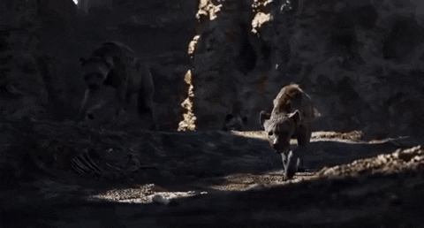 Kh&ocirc;ng c&ograve;n giống m&egrave;o nh&agrave;, vua tư sử Simba ch&iacute;nh thức lộ diện trong trailer The Lion King - Ảnh 4.