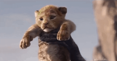 Kh&ocirc;ng c&ograve;n giống m&egrave;o nh&agrave;, vua tư sử Simba ch&iacute;nh thức lộ diện trong trailer The Lion King - Ảnh 7.