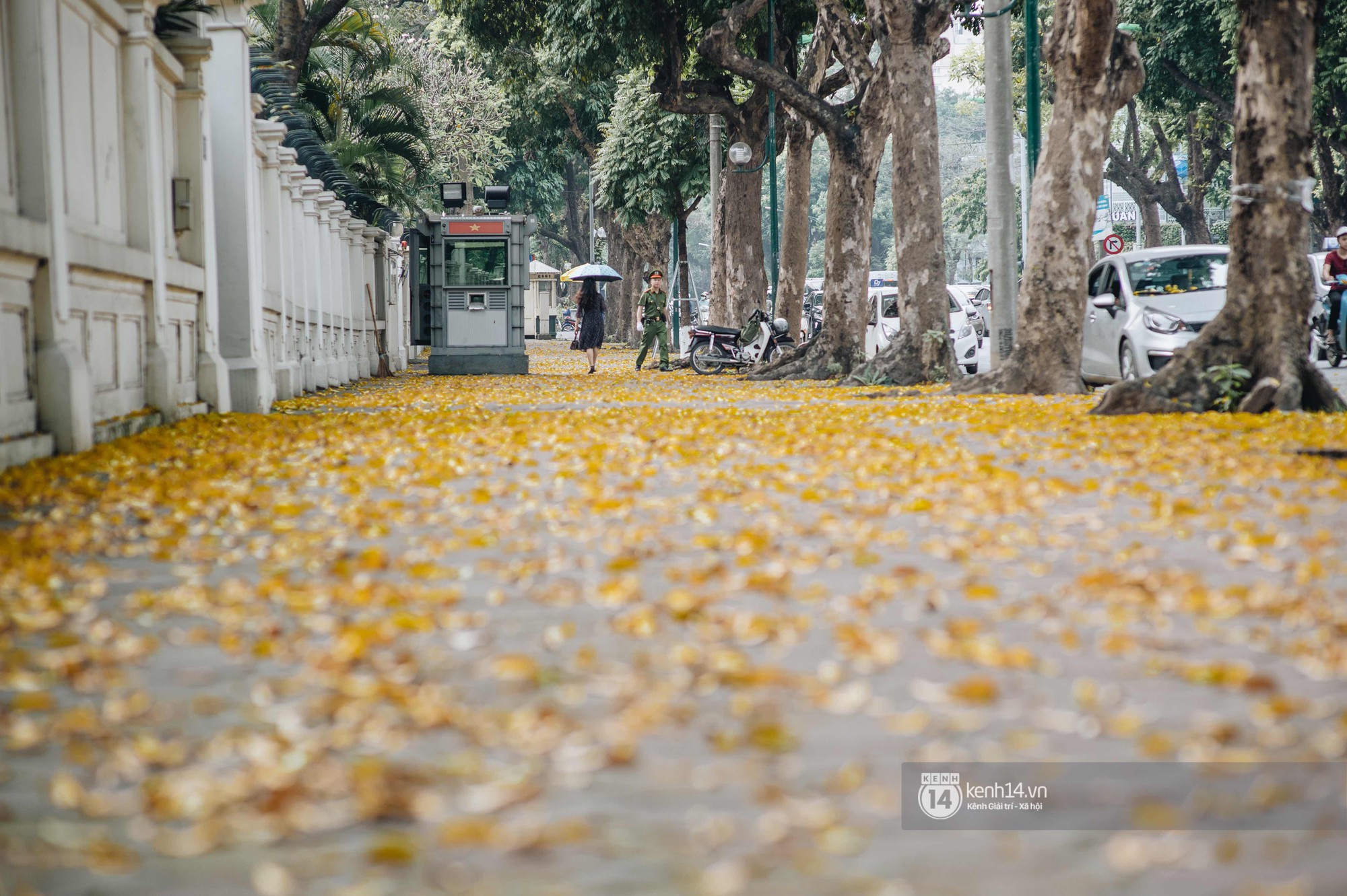 Hà Nội mùa lá rụng: Khi mọi thứ bỗng trở nên đẹp hoàn hảo như một thước phim! - Ảnh 2. Hà Nội mùa lá rụng: Khi mọi thứ bỗng trở nên đẹp hoàn hảo như một thước phim! - Ảnh 2.
