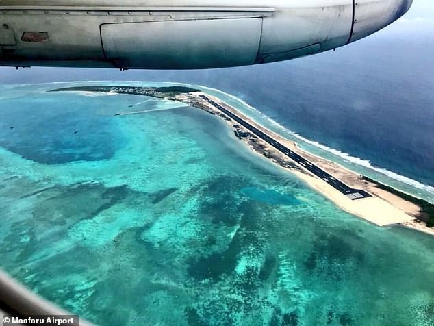 Xót xa cảnh tượng rùa hiếm Maldives lặn lội về quê đẻ trứng, nào ngờ tổ đã biến thành đường băng sân bay - Ảnh 2.