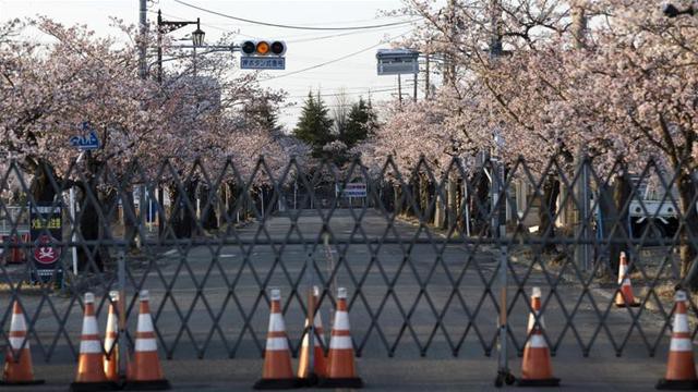 8 năm sau thảm họa hạt nhân, Fukushima hồi sinh đón người dân trở về - Ảnh 1.