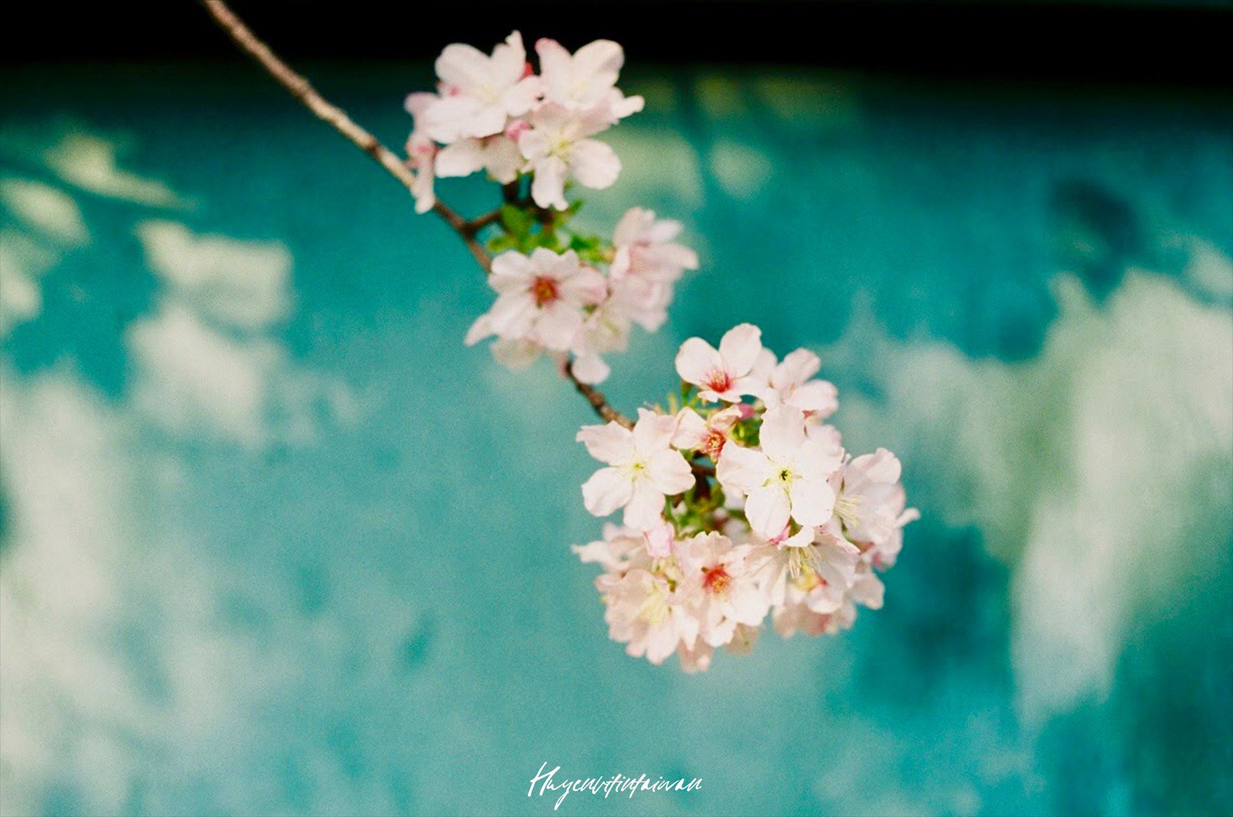 Nếu muốn biết bình yên trông thế nào thì hãy đến Đạm Thuỷ - bối cảnh phim đình đám một thời của Châu Kiệt Luân - Ảnh 13. Nếu muốn biết bình yên trông thế nào thì hãy đến Đạm Thuỷ - bối cảnh phim đình đám một thời của Châu Kiệt Luân - Ảnh 13.