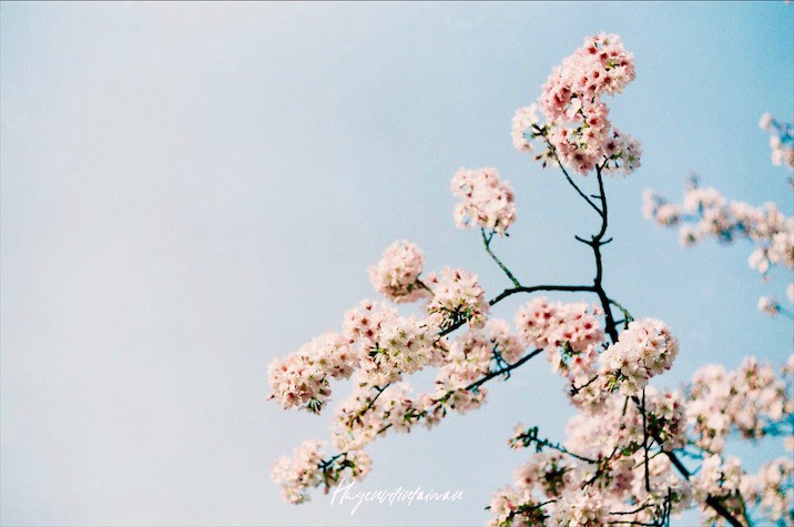 Nếu muốn biết bình yên trông thế nào thì hãy đến Đạm Thuỷ - bối cảnh phim đình đám một thời của Châu Kiệt Luân - Ảnh 15. Nếu muốn biết bình yên trông thế nào thì hãy đến Đạm Thuỷ - bối cảnh phim đình đám một thời của Châu Kiệt Luân - Ảnh 15.