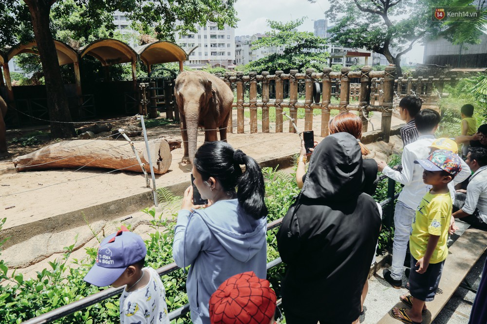 Hàng ngàn người đổ về khu vui chơi ở Sài Gòn trốn nắng nóng gần 40 độ trong ngày nghỉ lễ - Ảnh 8. Hàng ngàn người đổ về khu vui chơi ở Sài Gòn trốn nắng nóng gần 40 độ trong ngày nghỉ lễ - Ảnh 8.