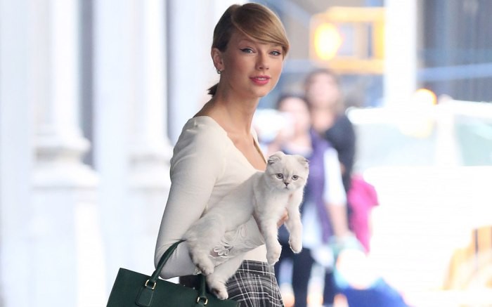 Vai diễn chính đầu tay chọn ngay vai hóa thành mèo, Taylor Swift quả là fan cuồng hoàng thượng chính hiệu - Ảnh 1. Vai diễn chính đầu tay chọn ngay vai hóa thành mèo, Taylor Swift quả là fan cuồng hoàng thượng chính hiệu - Ảnh 1.