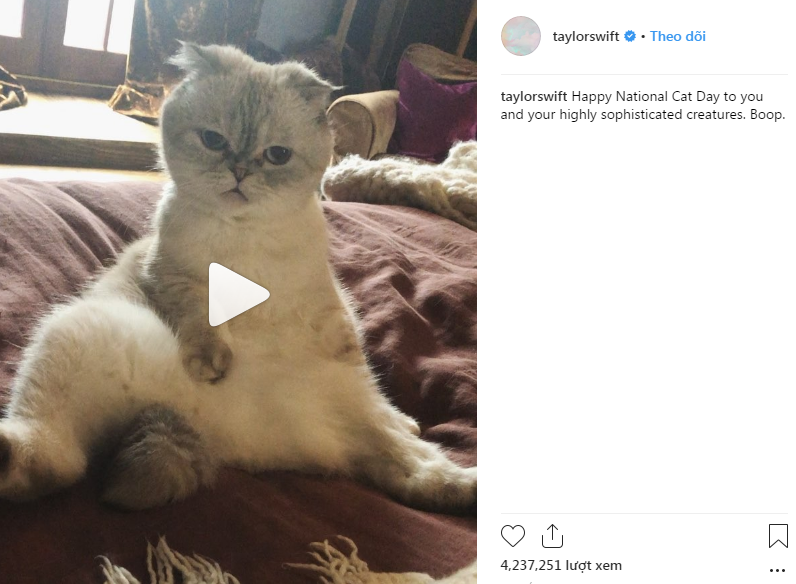 Vai diễn chính đầu tay chọn ngay vai hóa thành mèo, Taylor Swift quả là fan cuồng hoàng thượng chính hiệu - Ảnh 3. Vai diễn chính đầu tay chọn ngay vai hóa thành mèo, Taylor Swift quả là fan cuồng hoàng thượng chính hiệu - Ảnh 3.
