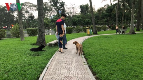 Kinh h&atilde;i ch&oacute; kh&ocirc;ng rọ m&otilde;m chạy r&ocirc;ng trong c&ocirc;ng vi&ecirc;n Thống Nhất - Ảnh 9.