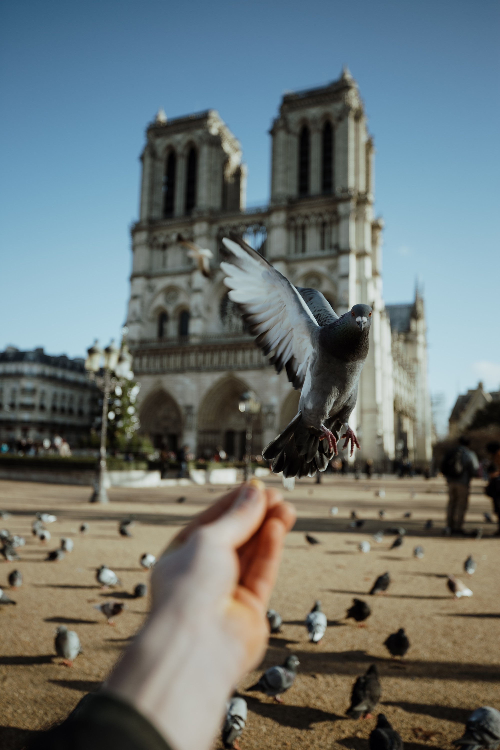 Trước khi sụp đổ một phần vì vụ cháy chấn động, Nhà thờ Đức Bà ở Paris từng là biểu tượng bình yên của cả nước Pháp - Ảnh 9. Trước khi sụp đổ một phần vì vụ cháy chấn động, Nhà thờ Đức Bà ở Paris từng là biểu tượng bình yên của cả nước Pháp - Ảnh 9.