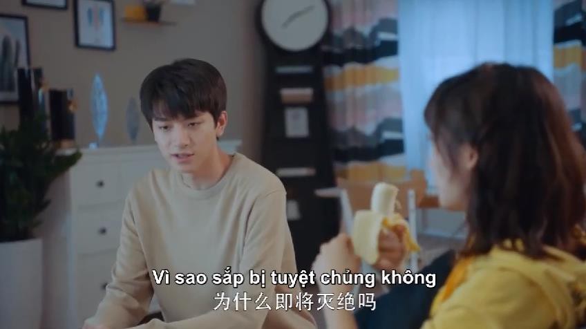 Từ ngày biết yêu Cố Vị Dịch phá cách hơn hẳn, đã lắm mồm lại còn ngáo ngơ trong Gửi Thời Thanh Xuân Ấm Áp - Ảnh 6. Từ ngày biết yêu Cố Vị Dịch phá cách hơn hẳn, đã lắm mồm lại còn ngáo ngơ trong Gửi Thời Thanh Xuân Ấm Áp - Ảnh 6.