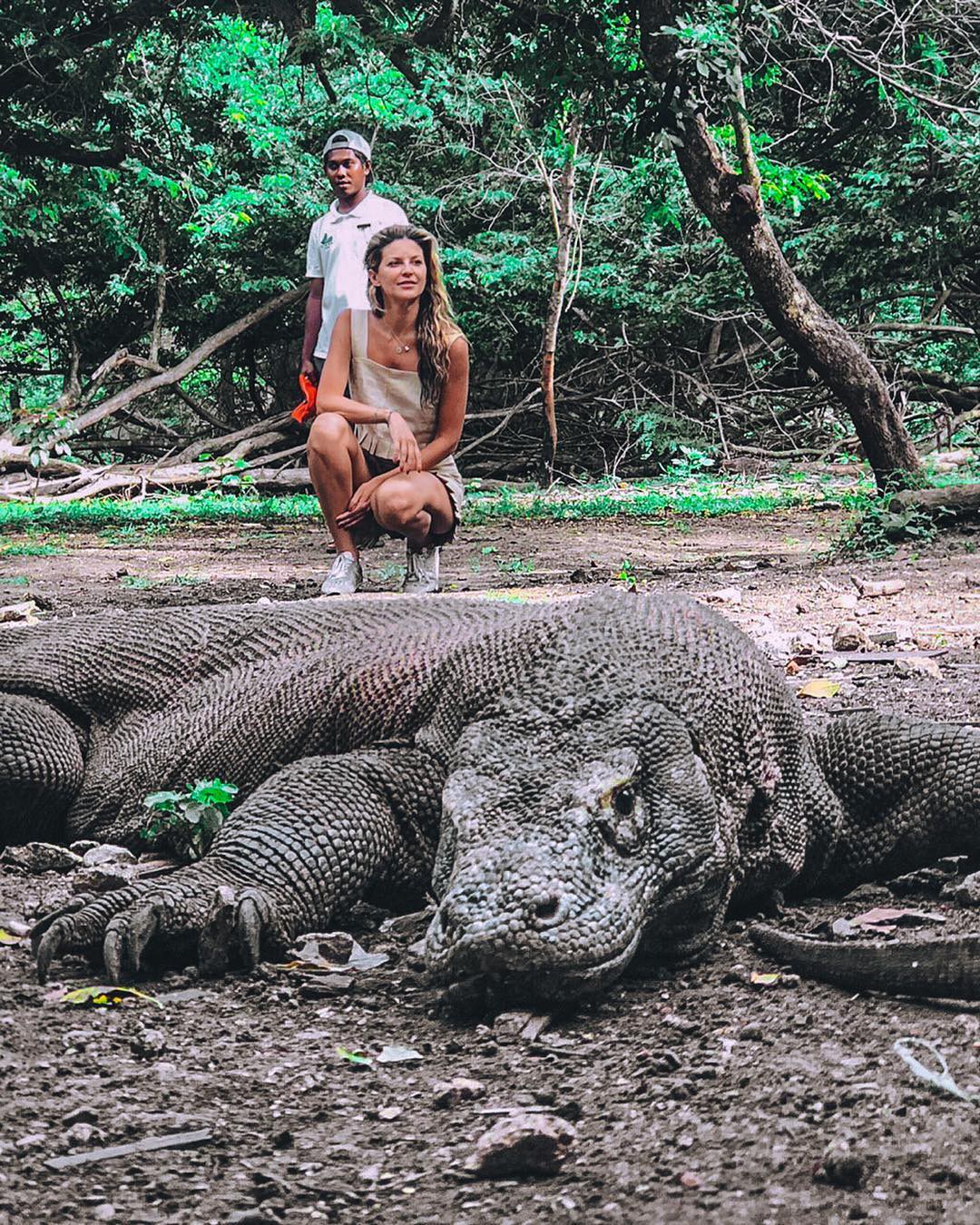 Đảo rồng Komodo tại Indonesia sẽ đóng cửa vào năm 2020, đi ngay trước khi quá muộn nào! - Ảnh 2. Đảo rồng Komodo tại Indonesia sẽ đóng cửa vào năm 2020, đi ngay trước khi quá muộn nào! - Ảnh 2.