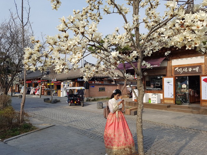 Không phải hoa anh đào, mộc lan mới chính là loài hoa đang vào độ bung nở đẹp nhất tại Seoul - Ảnh 8. Không phải hoa anh đào, mộc lan mới chính là loài hoa đang vào độ bung nở đẹp nhất tại Seoul - Ảnh 8.