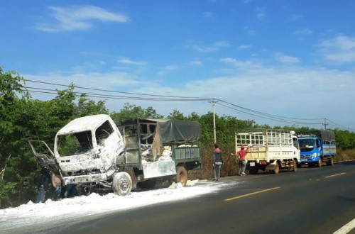 Gia Lai: Xe tải bốc cháy dữ dội trong lúc tài xế đi vệ sinh - Ảnh 1.