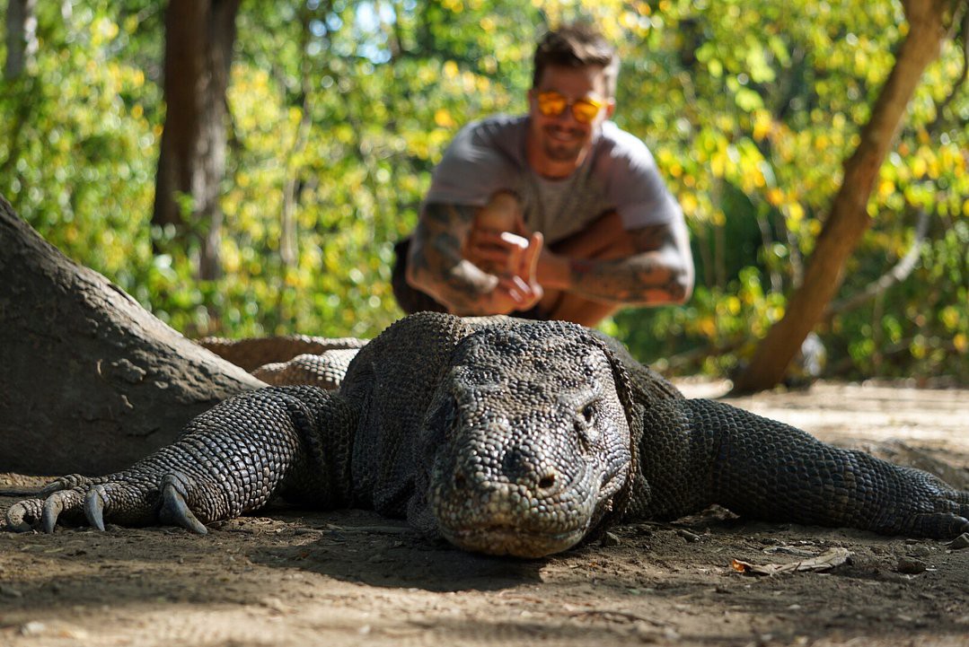 Đảo rồng Komodo tại Indonesia sẽ đóng cửa vào năm 2020, đi ngay trước khi quá muộn nào! - Ảnh 3. Đảo rồng Komodo tại Indonesia sẽ đóng cửa vào năm 2020, đi ngay trước khi quá muộn nào! - Ảnh 3.