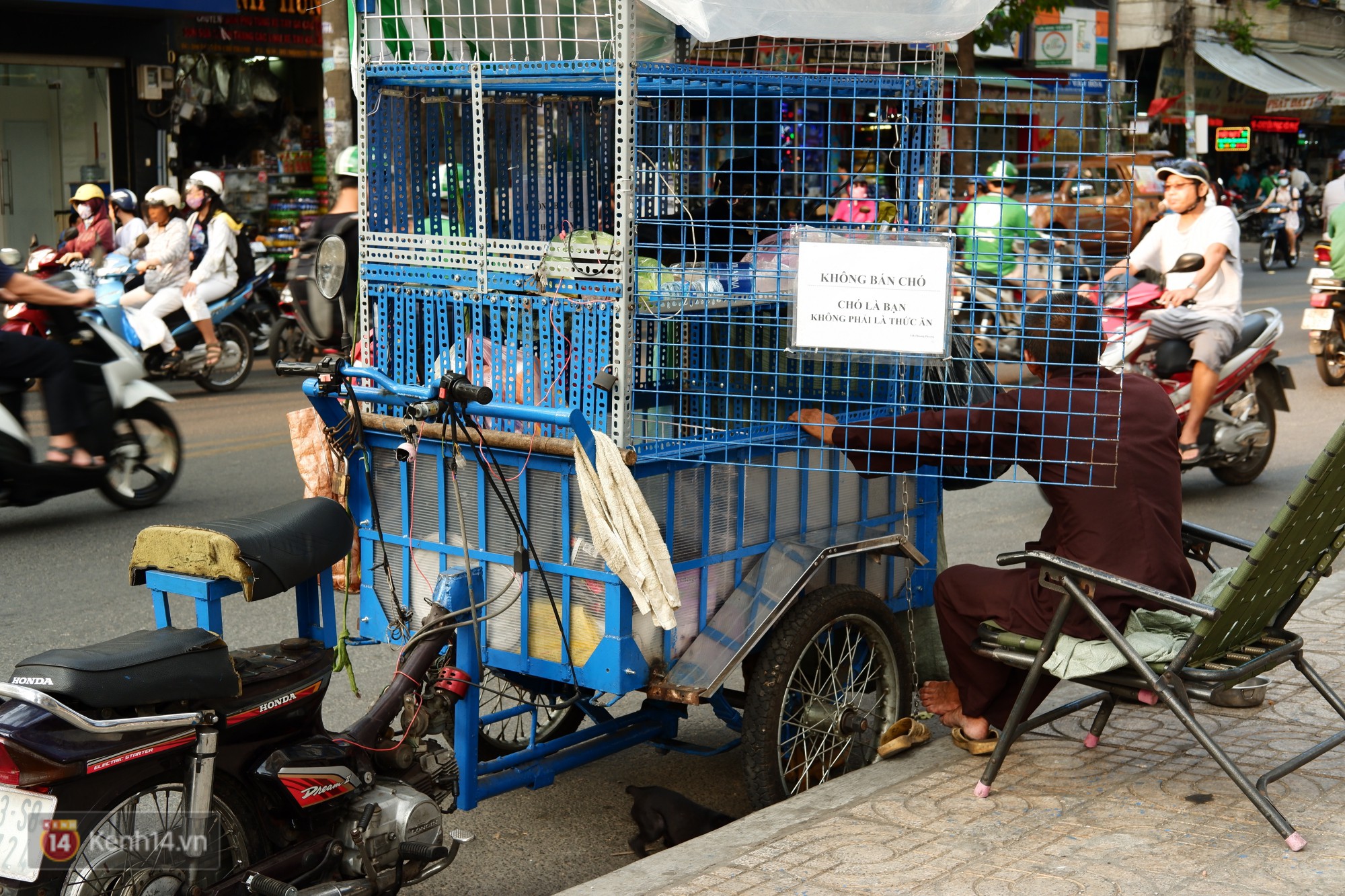 Tấm bảng Chó là bạn, không phải thứ ăn của người đàn ông 20 năm bầu bạn với những chú chó ngoài đường phố Sài Gòn - Ảnh 5.
