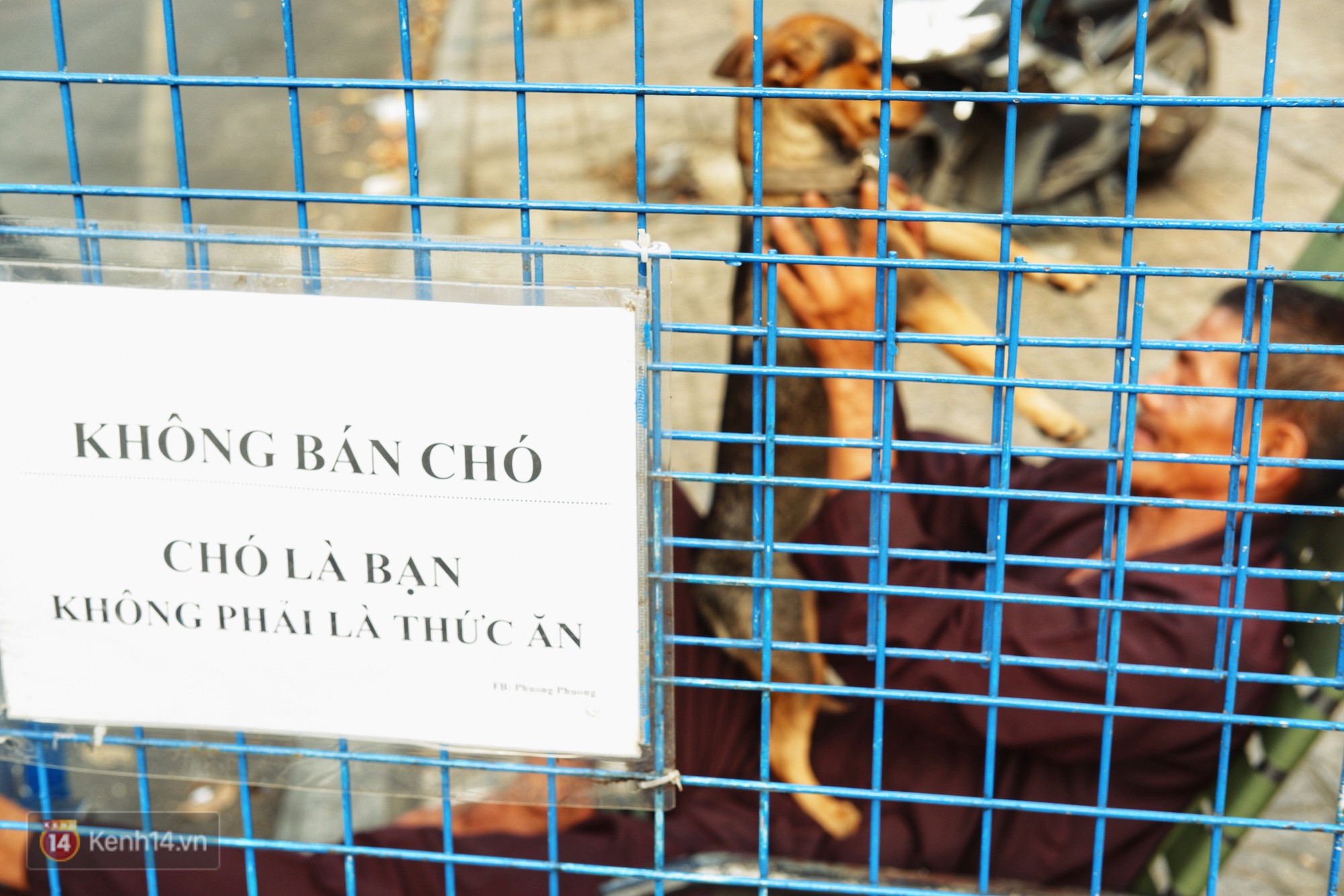 Tấm bảng Chó là bạn, không phải thứ ăn của người đàn ông 20 năm bầu bạn với những chú chó ngoài đường phố Sài Gòn - Ảnh 1.