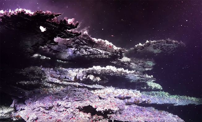 Tháp hồng soi bóng hồ gương dưới đáy biển: Kỳ quan tuyệt đẹp mới được tìm ra tại California - Ảnh 5.