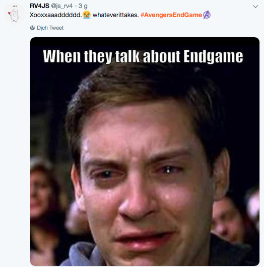 Mạng xã hội cả thế giới chìm trong biển meme mếu máo sau khi xem Avengers: Endgame - Ảnh 3.