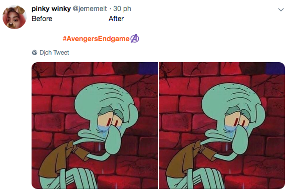 Mạng xã hội cả thế giới chìm trong biển meme mếu máo sau khi xem Avengers: Endgame - Ảnh 10.