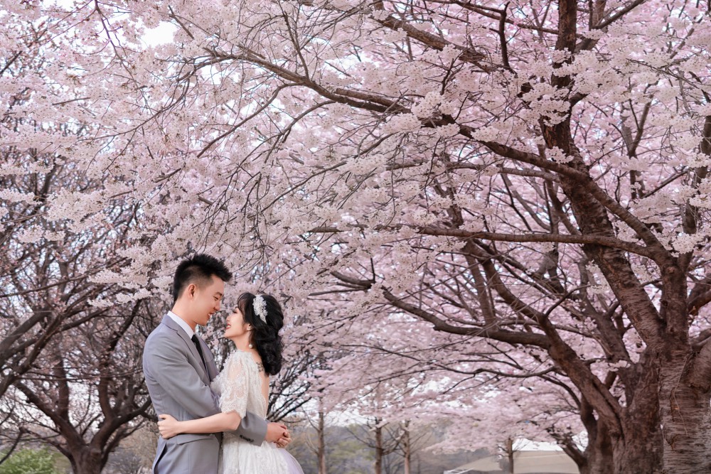 Trọn vẹn bộ ảnh cưới kỷ niệm 11 năm kết hôn đầy ngọt ngào của vợ chồng Ốc Thanh Vân - Ảnh 1.