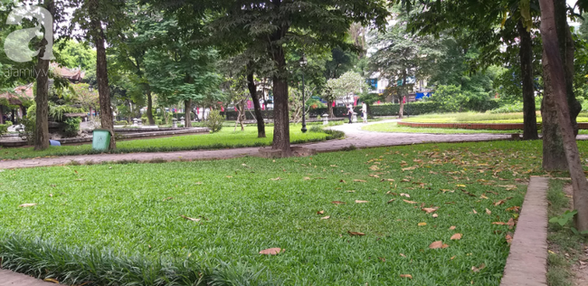 H&agrave; Nội: &Ocirc;ng l&atilde;o 81 tuổi bị người d&acirc;n bắt quả tang s&agrave;m sỡ c&ocirc; g&aacute;i t&acirc;m thần trong nh&agrave; vệ sinh c&ocirc;ng cộng - Ảnh 5.