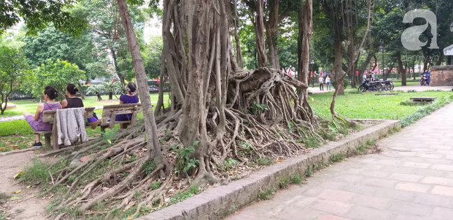 H&agrave; Nội: &Ocirc;ng l&atilde;o 81 tuổi bị người d&acirc;n bắt quả tang s&agrave;m sỡ c&ocirc; g&aacute;i t&acirc;m thần trong nh&agrave; vệ sinh c&ocirc;ng cộng - Ảnh 6.